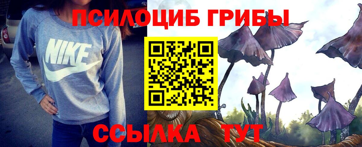Галлюциногенные грибы Cubensis Новодвинск